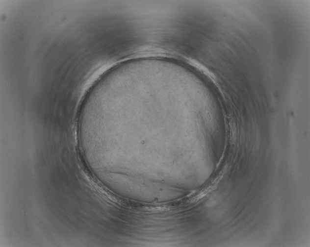 X0000073721415200608311808