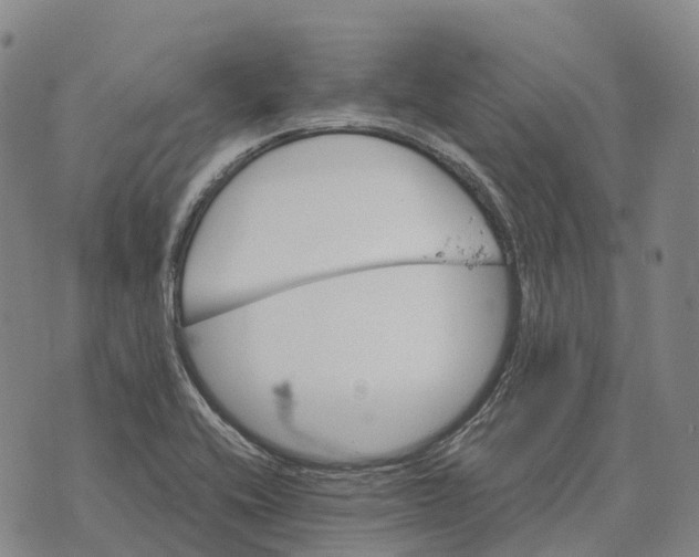 X0000073721416200608311808