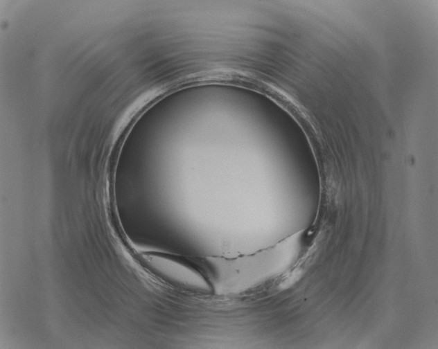 X0000073721418200608311808