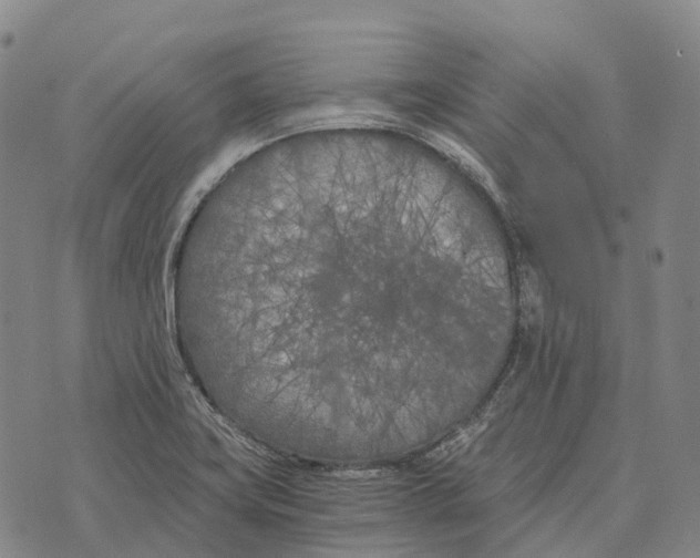 X0000073721419200608311808