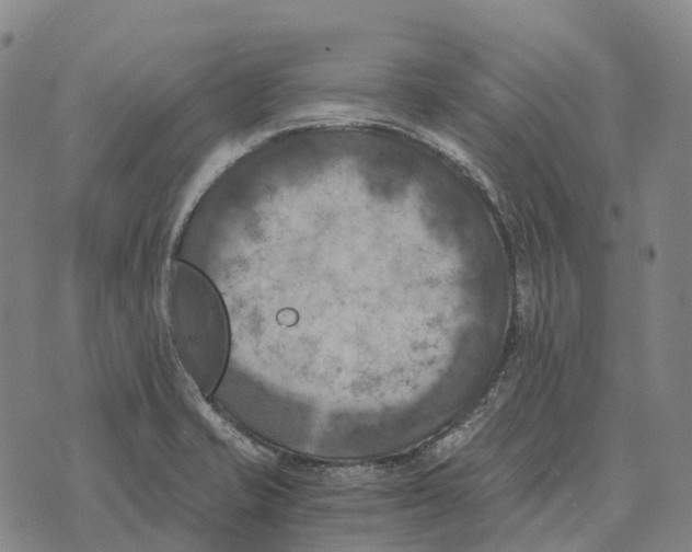 X0000073721421200608311808