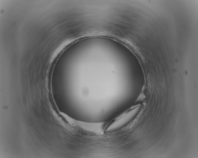 X0000073721422200608311808