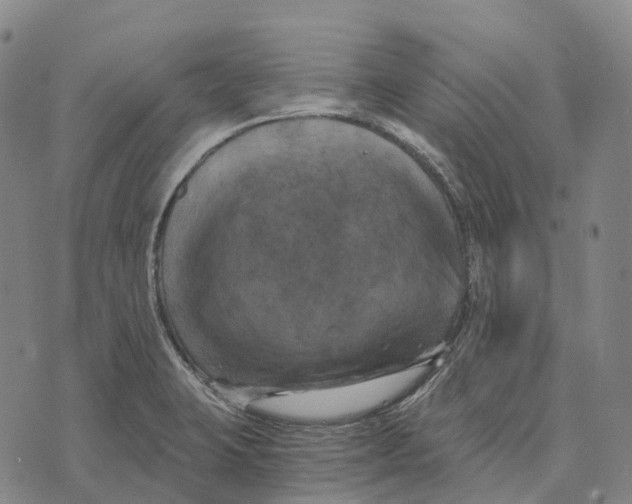 X0000073721423200608311808