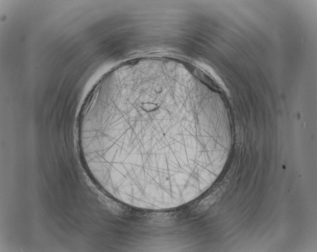 X0000073721424200608311808