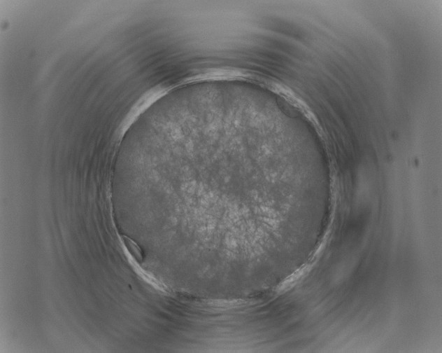 X0000073721425200608311808