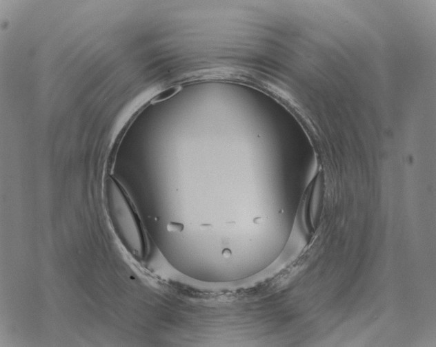 X0000073721426200608311808