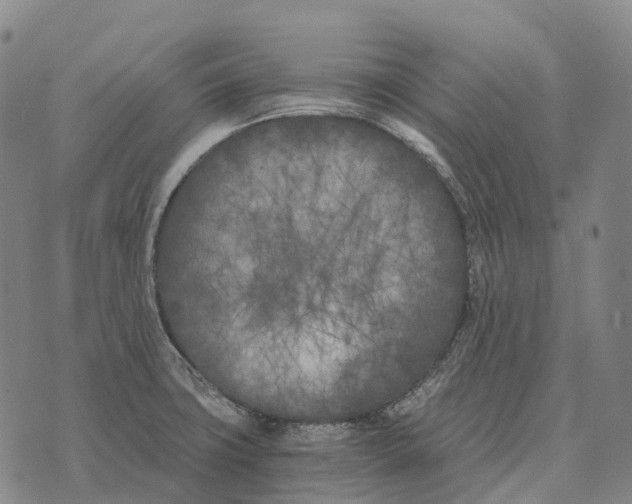 X0000073721427200608311808