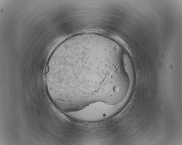 X0000073721428200608311808