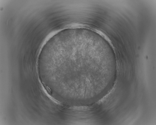 X0000073721429200608311808