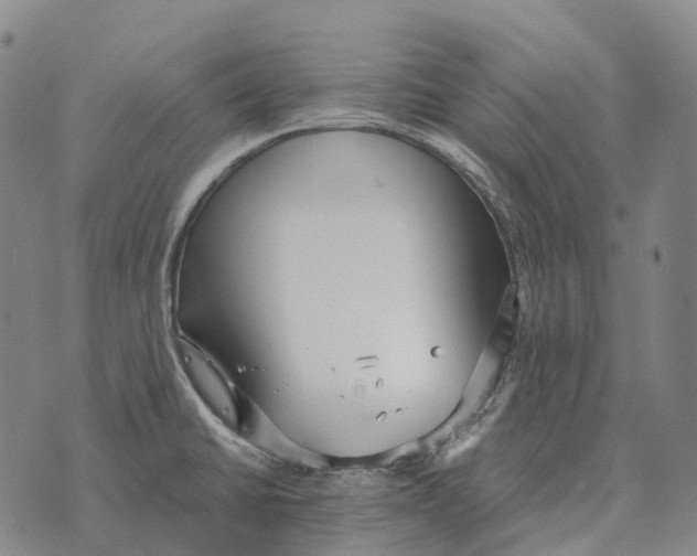 X0000073721430200608311808