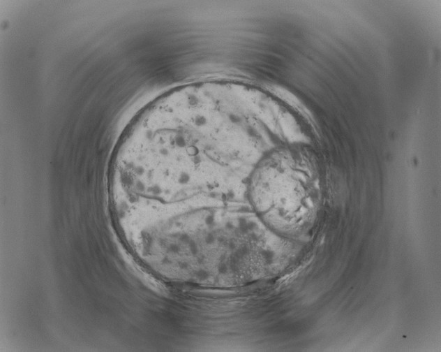 X0000073721431200608311808