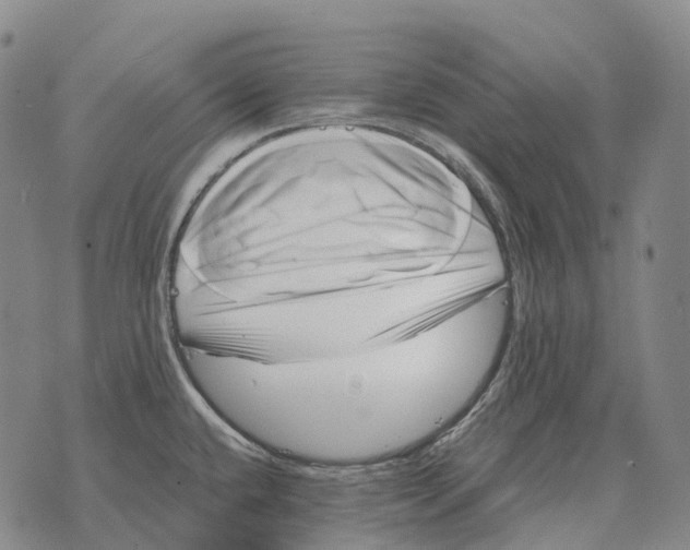 X0000073721432200608311808