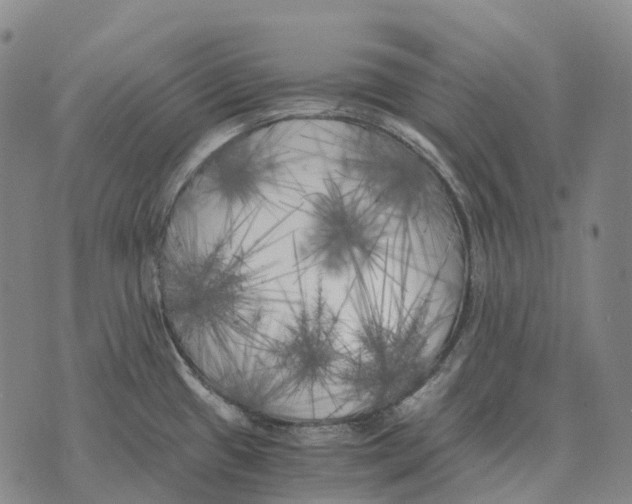 X0000073721433200608311808