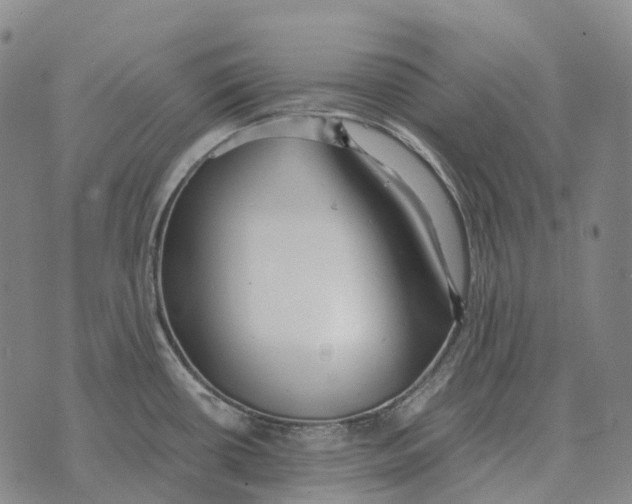 X0000073721434200608311808