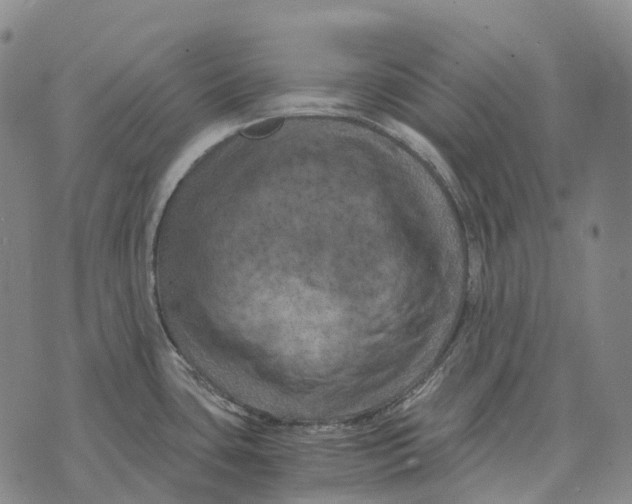 X0000073721435200608311808