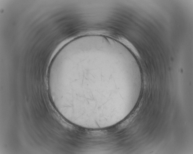 X0000073721436200608311808