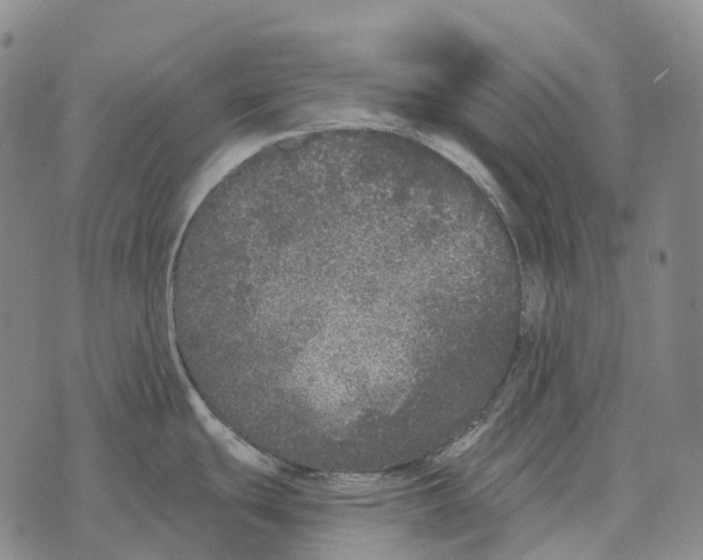 X0000073721439200608311808