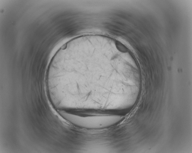 X0000073721440200608311808