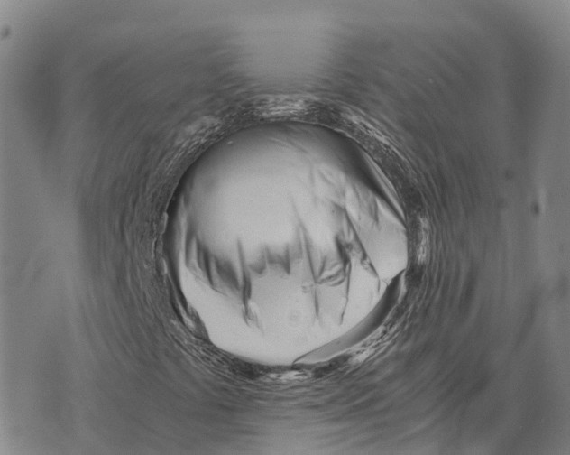 X0000073721441200608311808