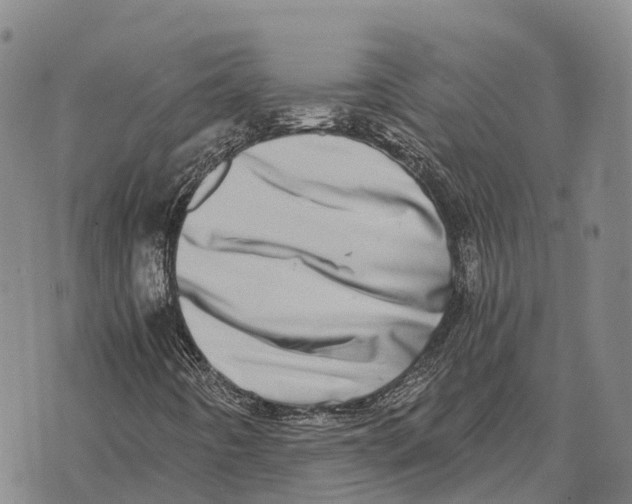 X0000073721442200608311808