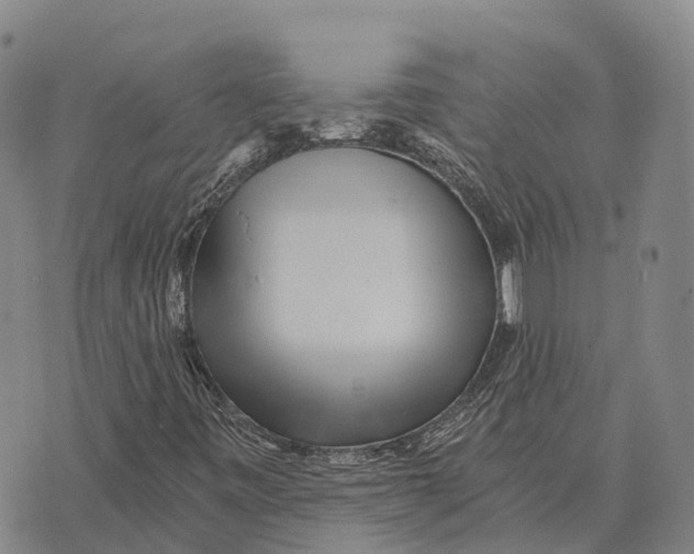 X0000073721443200608311808