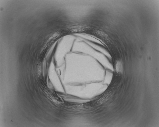 X0000073721444200608311808