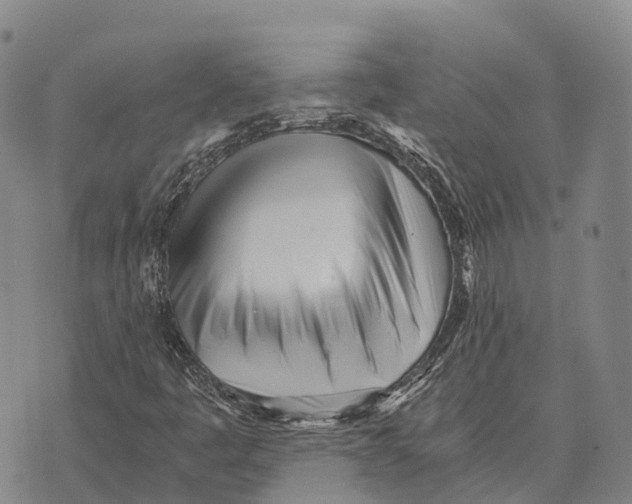 X0000073721445200608311808