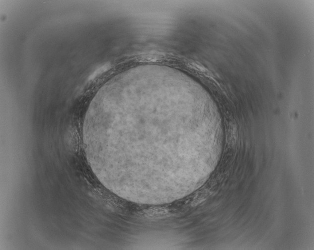 X0000073721446200608311808