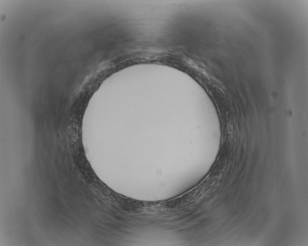 X0000073721447200608311808