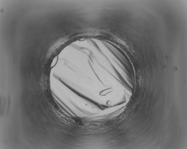 X0000073721448200608311808