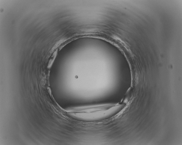 X0000073721449200608311808