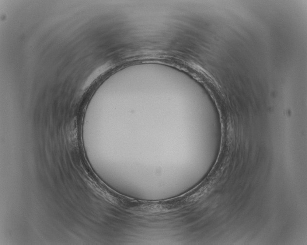 X0000073721450200608311808