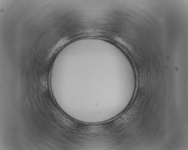 X0000073721451200608311808