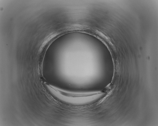 X0000073721453200608311807