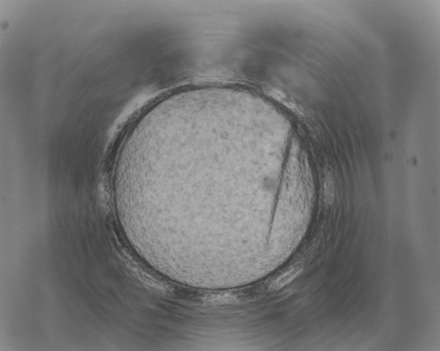 X0000073721454200608311807