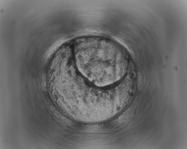 X0000073721455200608311807