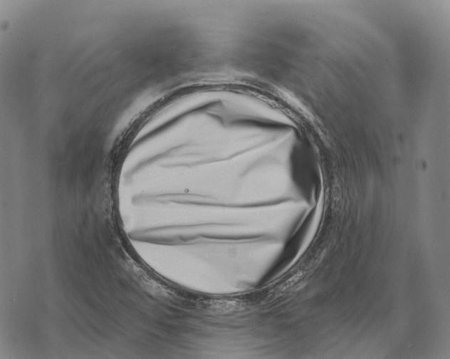 X0000073721456200608311807