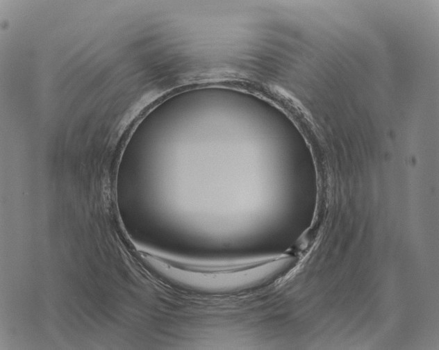 X0000073721457200608311807