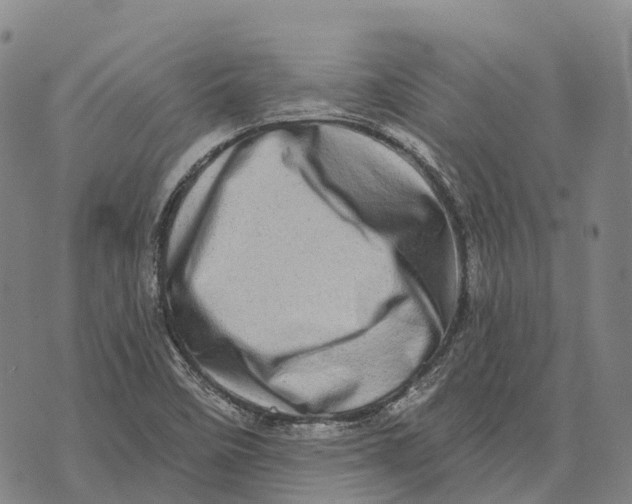 X0000073721458200608311807