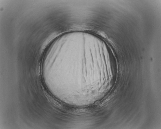 X0000073721459200608311807