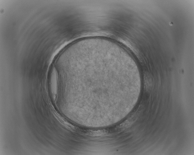 X0000073721460200608311807