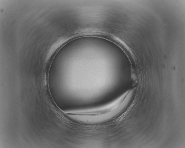 X0000073721461200608311807