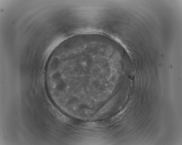 X0000073721463200608311807