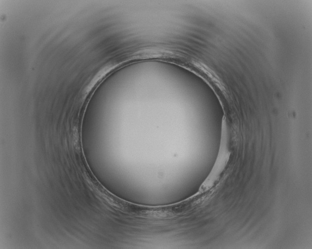 X0000073721465200608311807