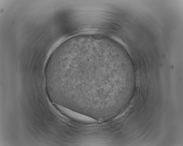 X0000073721467200608311807