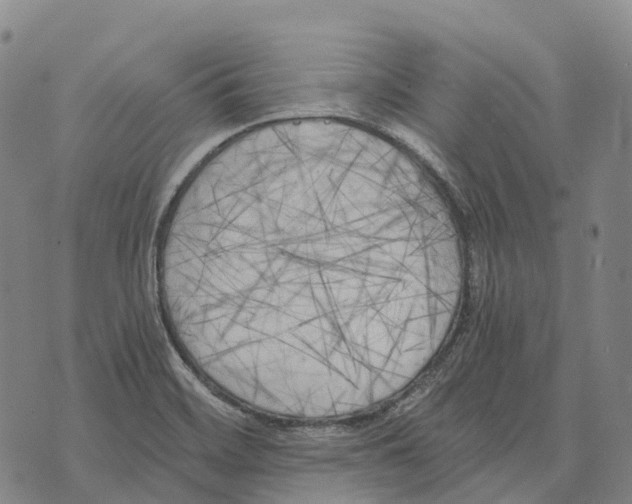 X0000073721468200608311807