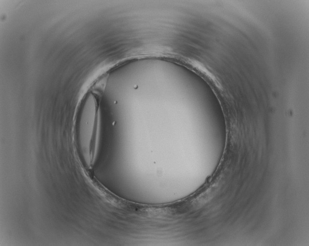 X0000073721469200608311807