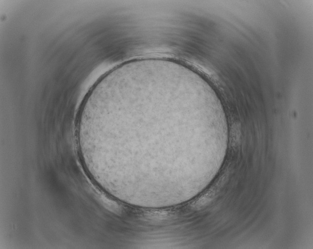 X0000073721470200608311807