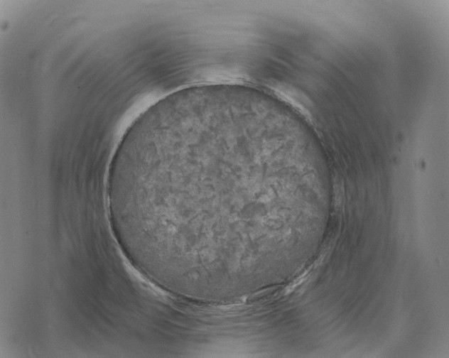 X0000073721471200608311807