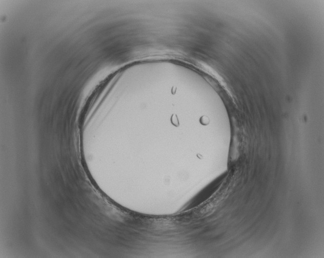 X0000073721472200608311807